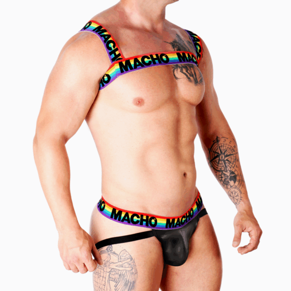 MACHO - ARNÉS DOBLE PRIDE LIMITED - Imagen 2